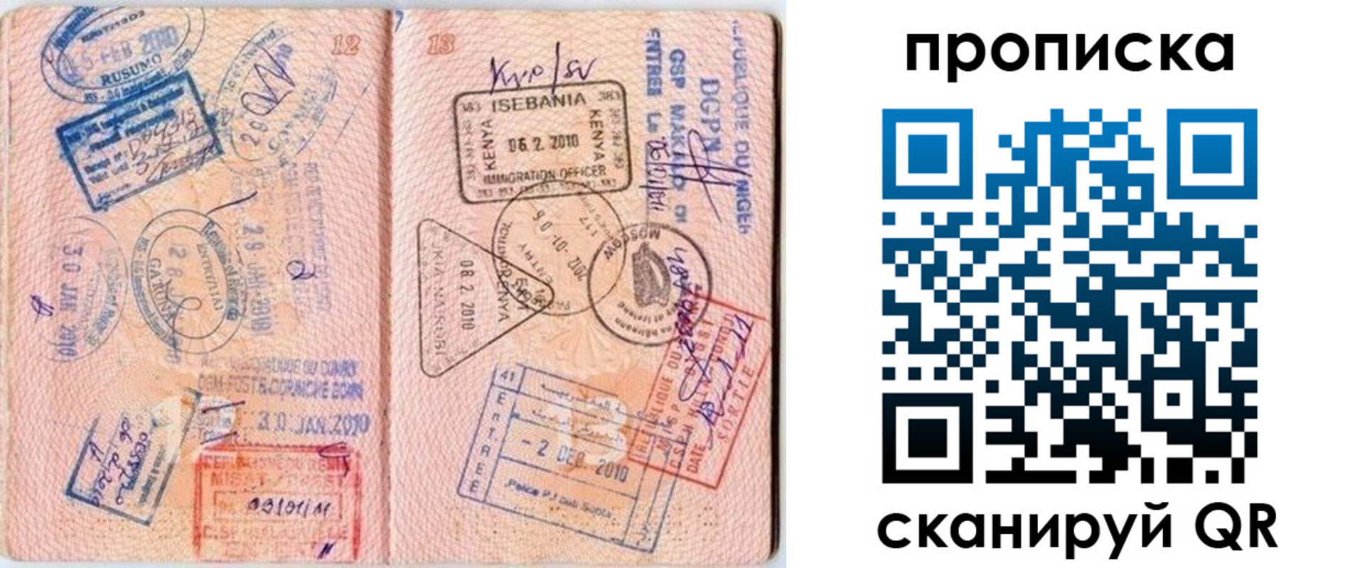 прописка для школы в Тольятти